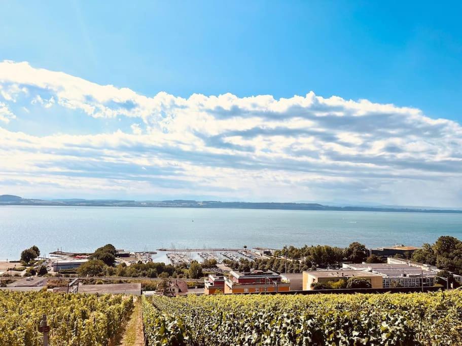Charmant Appartement De Vacances Alta Ripa Hauterive  Dış mekan fotoğraf
