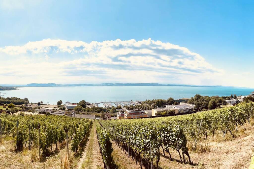 Charmant Appartement De Vacances Alta Ripa Hauterive  Dış mekan fotoğraf