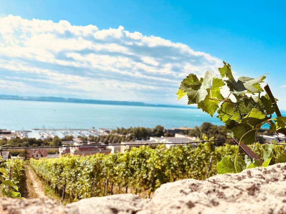 Charmant Appartement De Vacances Alta Ripa Hauterive  Dış mekan fotoğraf